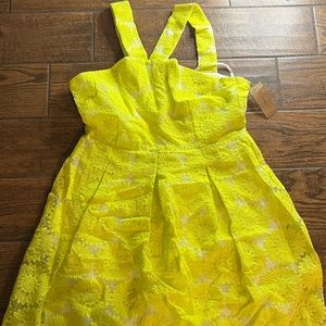 Cremieux Natalie Dress